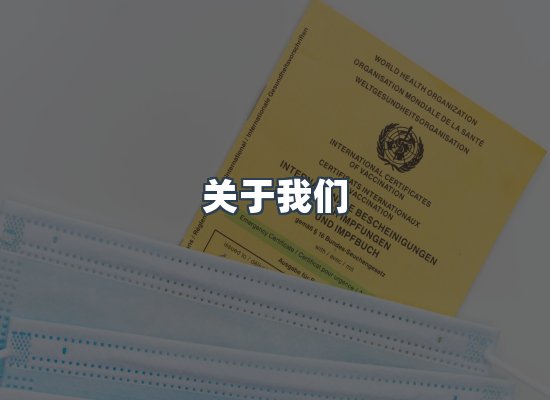 专业团队